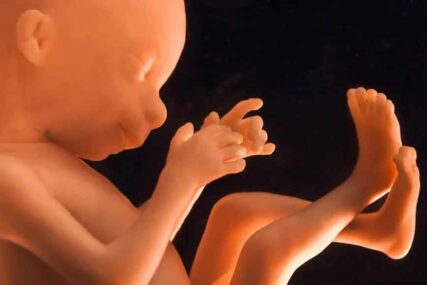 UŽAS Ostaci više od 2.000 fetusa pronađeni u domu američkog ljekara