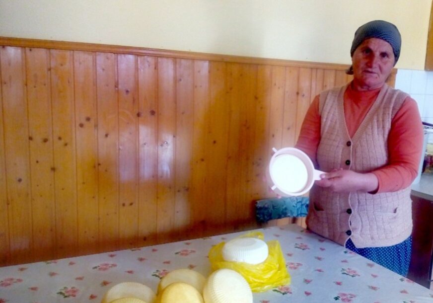Foto: Dubravka Čolović/RAS Srbija