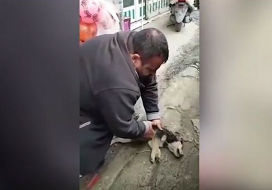 KAKAV ČOVJEK Trgovac umjetnim disanjem psu spasao život (VIDEO)