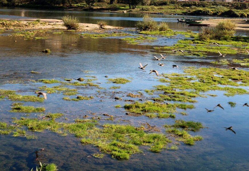 SVJETSKI DAN VODA Sačuvati rijeku Unu i njena prirodna bogatstva