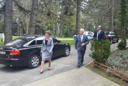 Spomenka Stevanović i Nedeljko Čubrilović