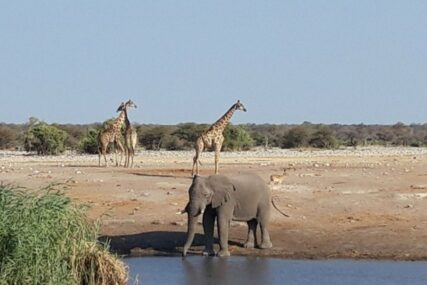 “IMATE OSJEĆAJ DA SVE SVJETLUCA” Stevica iz Bijeljine mjesec dana putovao po Namibiji, ovo su njegovi UTISCI