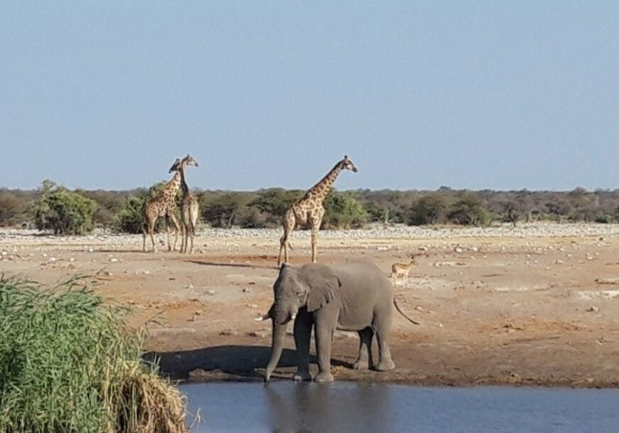“IMATE OSJEĆAJ DA SVE SVJETLUCA” Stevica iz Bijeljine mjesec dana putovao po Namibiji, ovo su njegovi UTISCI