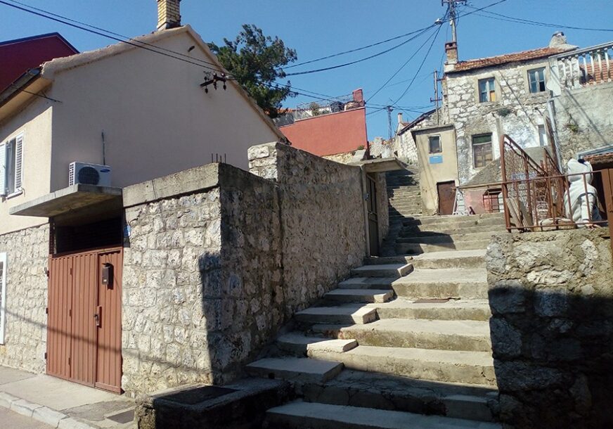 Foto: Dubravka Čolović/RAS Srbija