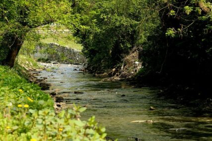 Uređenje rijeka i potoka: Na više lokacije pokošene obale