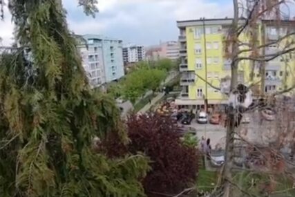 KAO U FILMU Banjalučki vatrogasci objavili snimak spasavanja mačke sa drveta (VIDEO)