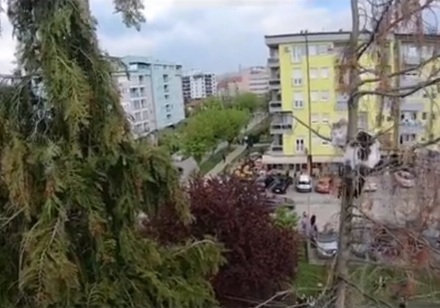 KAO U FILMU Banjalučki vatrogasci objavili snimak spasavanja mačke sa drveta (VIDEO)
