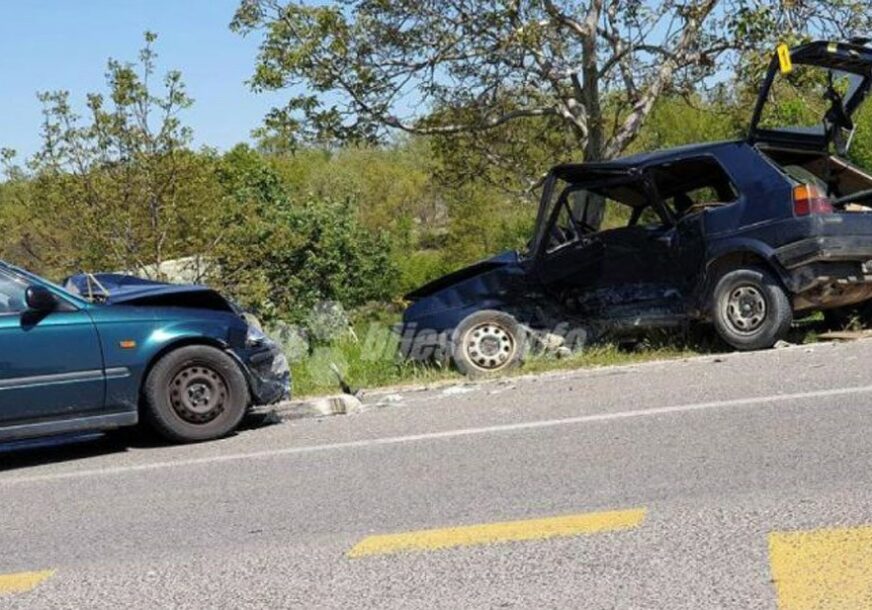 Foto: Bljesak/RAS Srbija