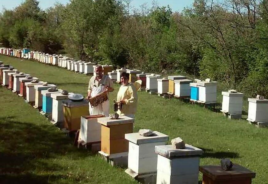 IZOSTALO PRVO MEDOBRANJE U HERCEGOVINI Kišovit i hladan april ne ide na ruku pčelarima