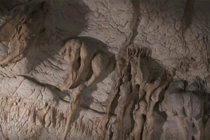 HRVATSKA ALTAMIRA U pećini u Istri otkrivene slike bizona i divokoza STARE 30.000 GODINA
