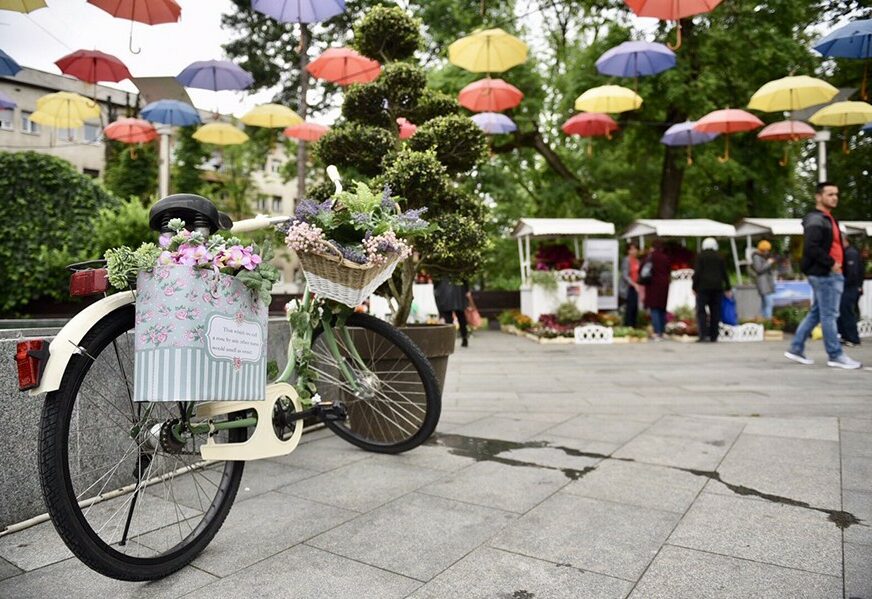 Za Dan grada izložba cvijeća u parku "Petar Kočić"