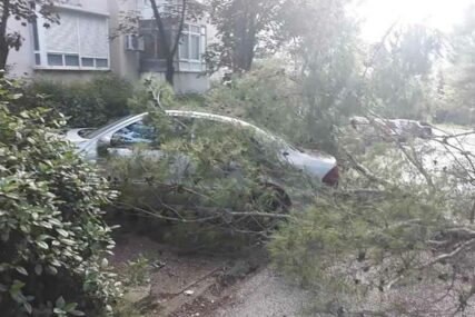 SNAŽNO NEVRIJEME PROTUTNJALO MOSTAROM Jak vjetar lomio stabla, oštećeni automobili (FOTO)