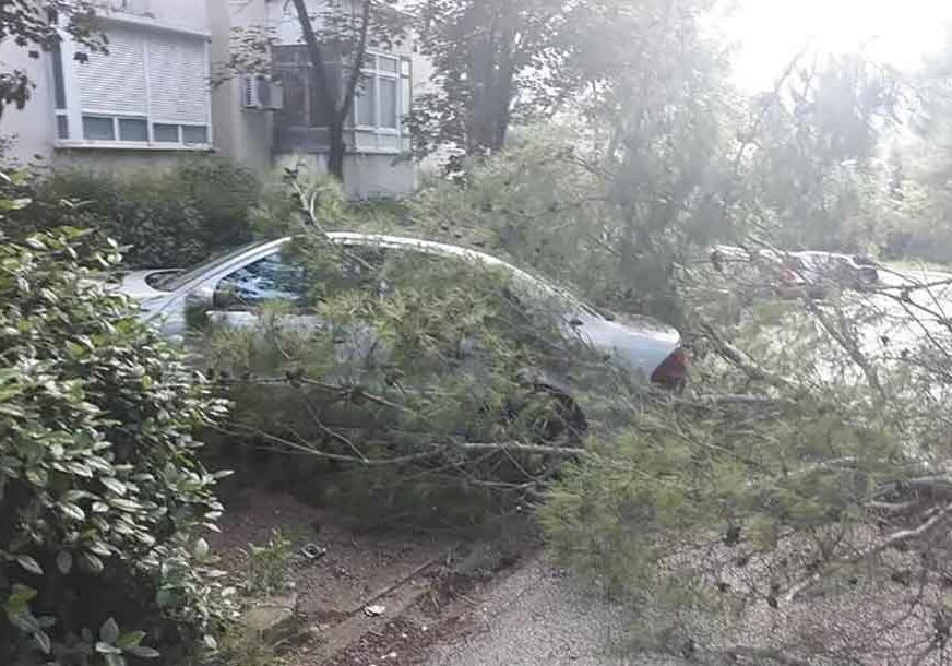 SNAŽNO NEVRIJEME PROTUTNJALO MOSTAROM Jak vjetar lomio stabla, oštećeni automobili (FOTO)