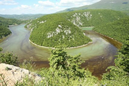 MRLJA U VRBASU NIJE ZAGADILA VODU ZA PIĆE Nadležni i dalje tvrde da su alge krive za mutnu rijeku!