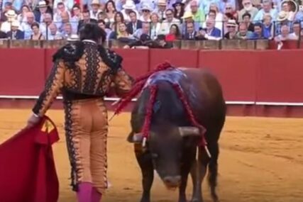 STRAVIČAN SNIMAK KRUŽI INTERNETOM Ovaj matador naljutio je korisnike društvenih mreža (VIDEO)