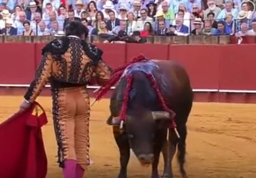 STRAVIČAN SNIMAK KRUŽI INTERNETOM Ovaj matador naljutio je korisnike društvenih mreža (VIDEO)