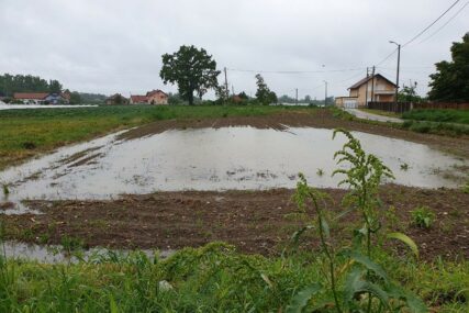 Bolesti prijete usjevima u Srpskoj: Poplave uzimaju danak poljoprivredi