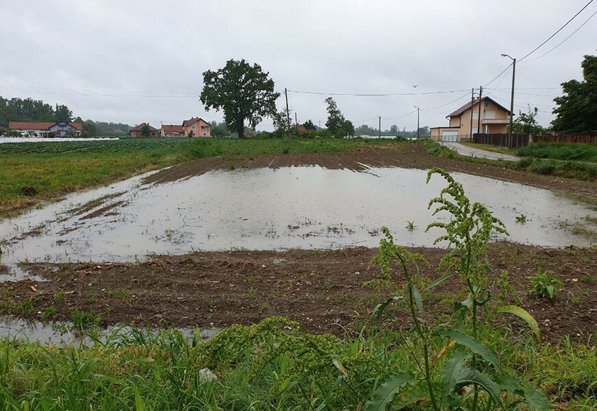 KIŠA ZAUSTAVILA SJETVU Ratari očajni, padavine ugrožavaju sve poljoprivredne kulture