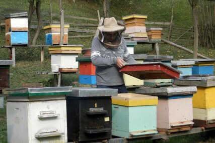 "ZDRAVIJE UZ KOŠNICE, NEGO U STANOVIMA" Premijer RS izlazi u susret kolegama pčelarima