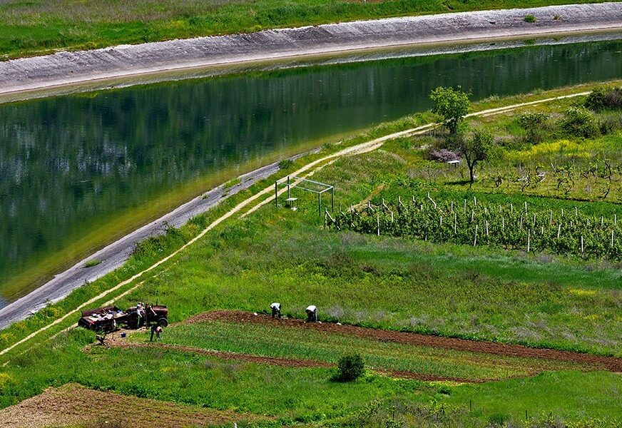 Foto: ravno/RAS Srbija