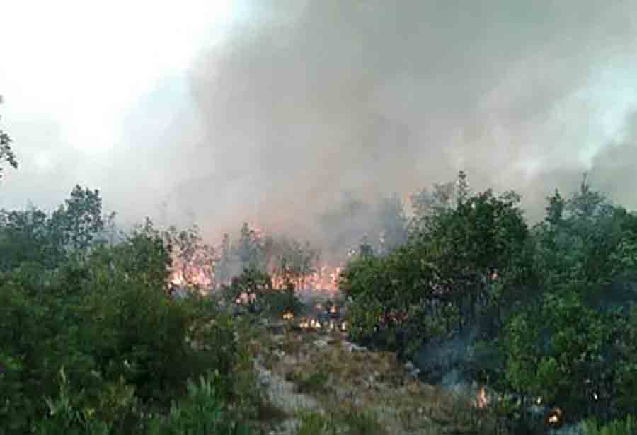 VATROGASCI NA TERENU Požar između Bileće i Trebinja i dalje aktivan