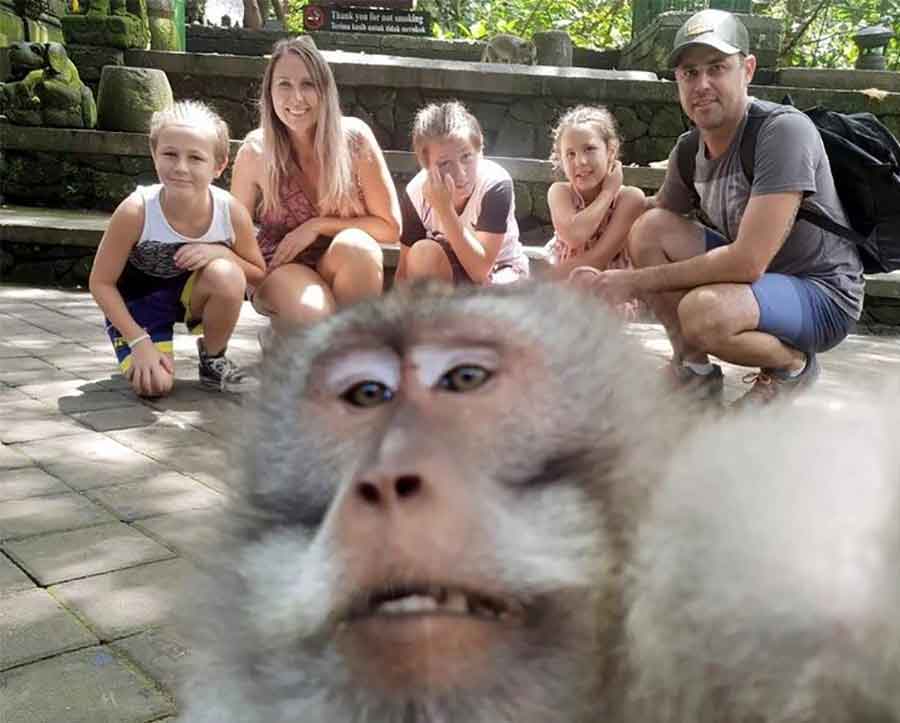 URNEBESNE FOTKE SA ODMORA Porodica je pozirala za selfi, a onda je majmun ZGRABIO KAMERU