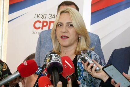 Cvijanović: Odlazak Vlade Strugara nenadoknadiv gubitak