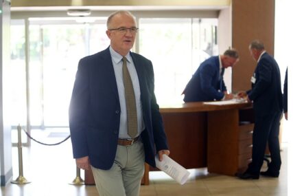 GUBITNIK DANA Dragan Čavić