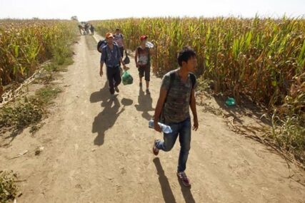 NIJE BILO LAKO ZBOG NEPRISTUPAČNOG TERENA Kod Bileće uhapšeno sedam migranata, POKUŠALI POBJEĆI