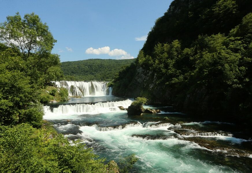 FOTO: SINIŠA PAŠALIĆ/RAS SRBIJA