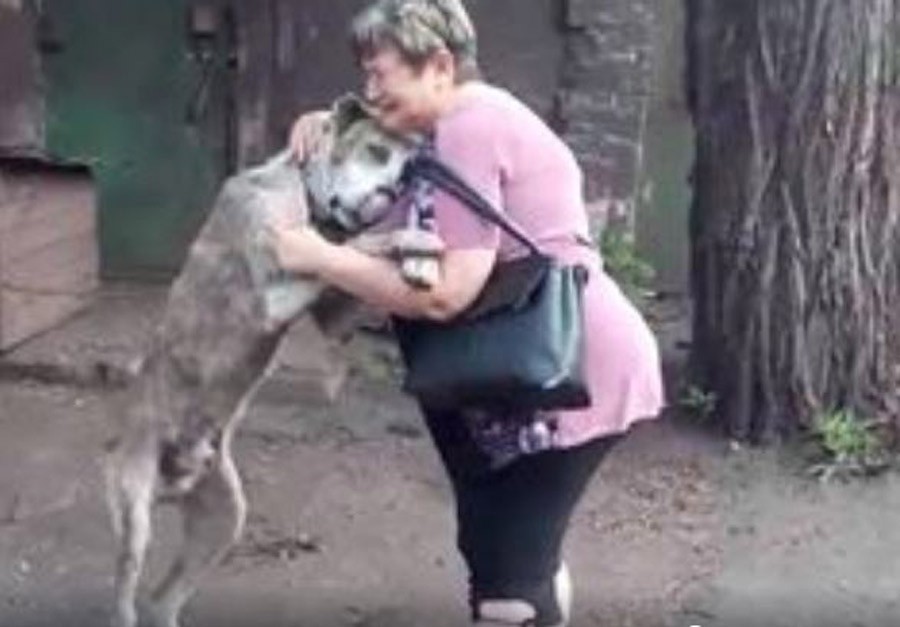 EMOTIVAN SUSRET Slučajno pronašla ljubimca koji joj je UKRADEN prije par godina (VIDEO)