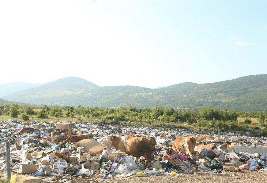 Grad Bijeljina: Za čišćenje divljih deponija potrebna 31.000 maraka
