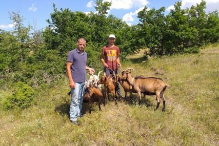 U SRPSKOJ SKUPLJENA POMOĆ SRBIMA SA KOSOVA Šesnaestočlanoj porodici obezbijedili novac za stado koza