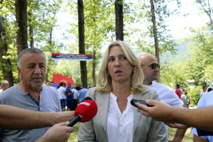 Cvijanović: SDA glavni krivac zašto nije pokrenut proces formiranja vlasti na nivou BiH