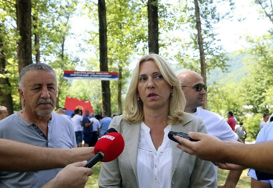 Cvijanović: SDA glavni krivac zašto nije pokrenut proces formiranja vlasti na nivou BiH