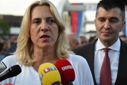 Cvijanović: Dosadilo nam je maltretiranje koje dolazi iz Sarajeva i pregovori koji su jalovi
