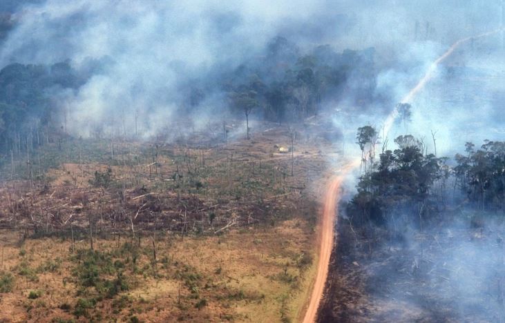 UPOZORENJE STRUČNJAKA Slaba kiša u Amazonji neće biti dovoljna da ugasi vatru