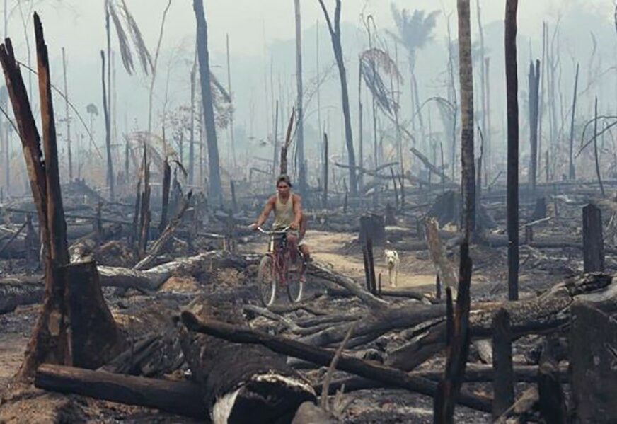 SCENARIO SUDNJEG DANA Šta bi se desilo sa svijetom kada bi Amazonija NESTALA?