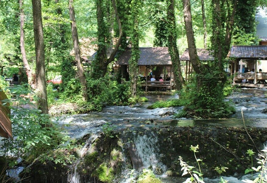 Prvo prirodno dobro iz BiH: Prašuma Janj uvrštena u UNESCO listu svjetskih baština