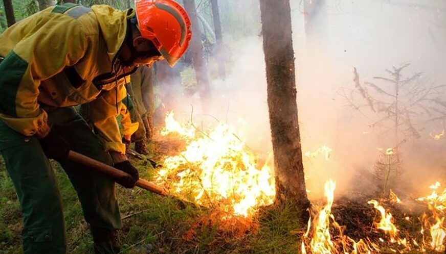 U Sibiru gori 5,4 miliona hektara šume, a voda kojom se gasi požar je SKUPA KAO ŠAMPANJAC (VIDEO)