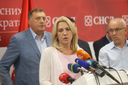 Cvijanović: Među kandidatima SNSD na lokalnim izborima i stara i nova imena