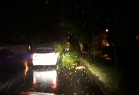 Palo drvo u Doboju: Šteta na čak 4 parkirana automobila