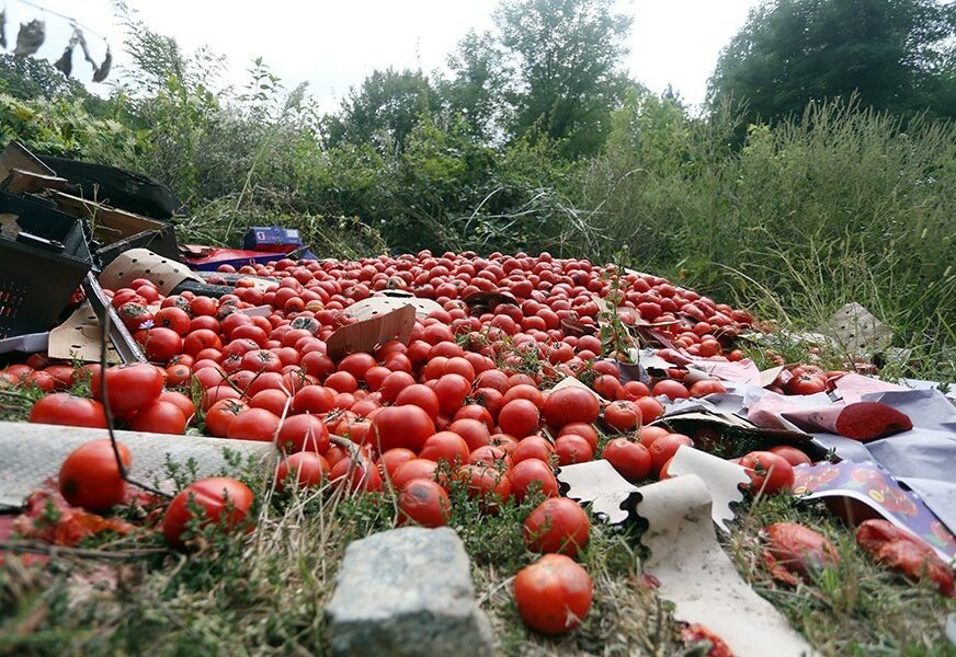 SLIKA NAŠE NARAVI Ogromna količina paradajza istovarena pored puta (FOTO)
