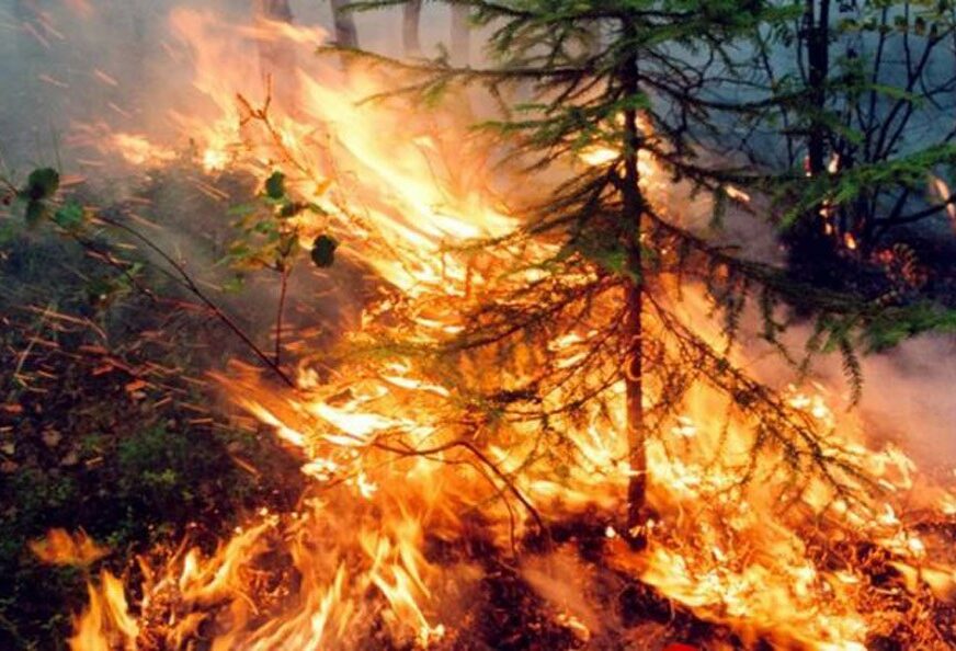 VELIKI POŽAR U GRČKOJ Vatrenu stihiju gasi 146 vatrogasaca