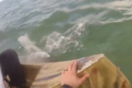 LOV ŽIVOTA Ajkula napala ribare u čamcima, jedva izvukli živu glavu (VIDEO)