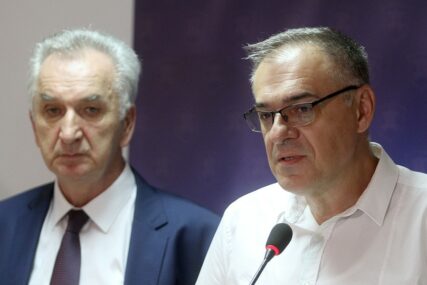 "Miličević progutao žabu zarad mira u SDS" Topićeva o dešavanjima unutar najveće opozicione stranke