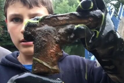 MAGNETNI RIBOLOV Neobičan hobi tinejdžera, pronalazi čudne predmete u rijeci (VIDEO)