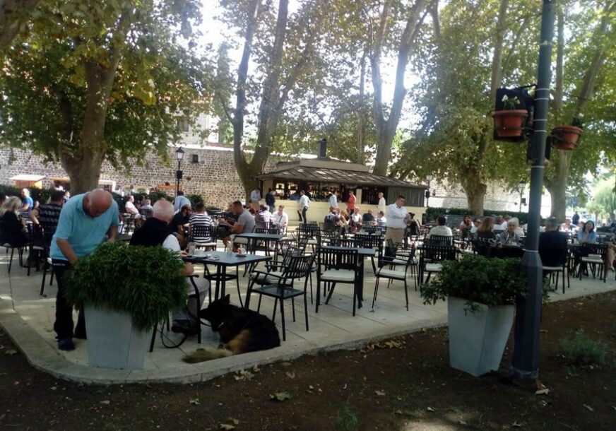 Foto: Dubravka Čolović/RAS Srbija