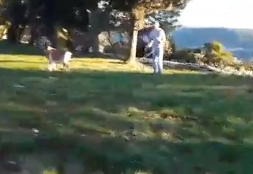 OVO NE VIĐATE SVAKI DAN Izveo kozu u šetnju u Neumu (VIDEO)