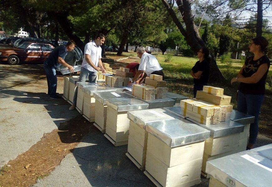 Trebinjski Agrarni fond donirao po pet košnica za pčelare početnike